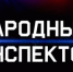 Цифровая платформа «Народный инспектор» набирает популярность у костромичей - Газета Новая жизнь
